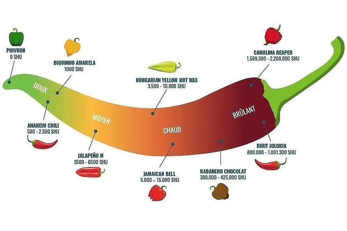 Tout savoir sur l'échelle de Scoville