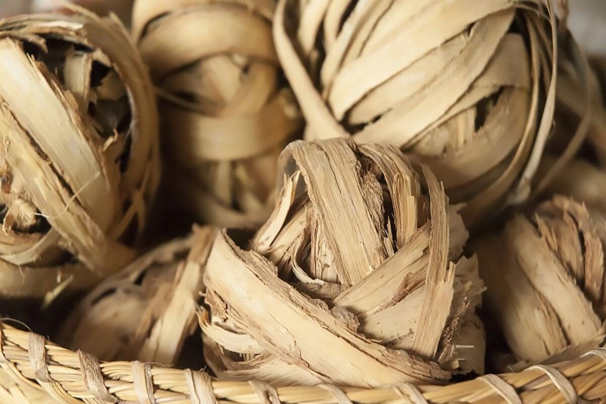 L'huile essentielle de Katafray : l’arbre de vie pour votre santé