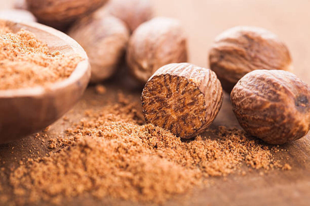 L'Huile Essentielle d'Origan : Un Trésor Méditerranéen pour Élever Votre Bien-Être