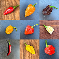 Assortiment de piments frais